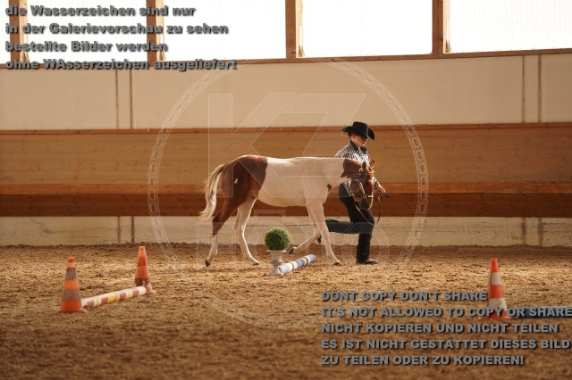 s_A_901167.JPG